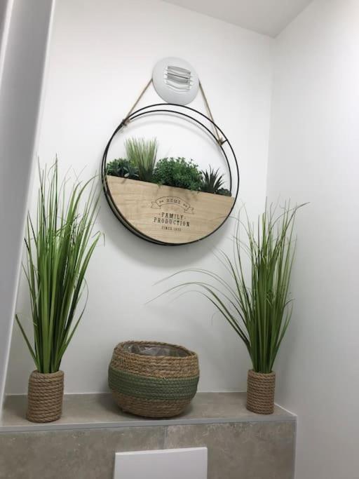 Studio « Oasis Provencale » Vallauris Bagian luar foto